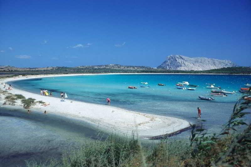 Le Canne San Teodoro (Sardinia)